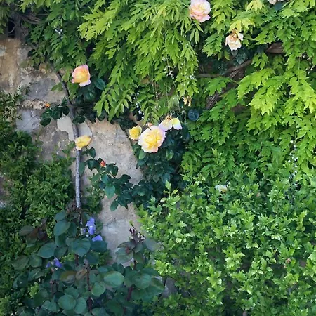 La Bastide De Negrin Bed and breakfast